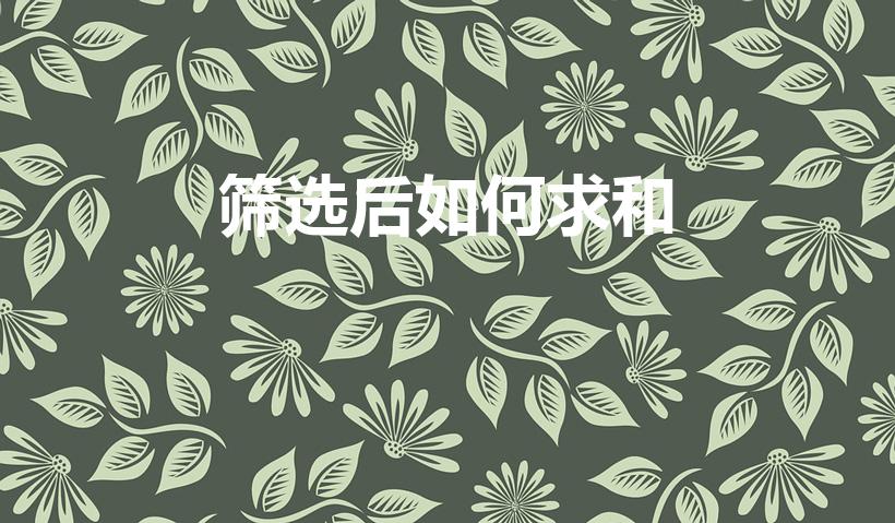 筛选后如何求和（excel表中自动筛选后,怎么合计总数）