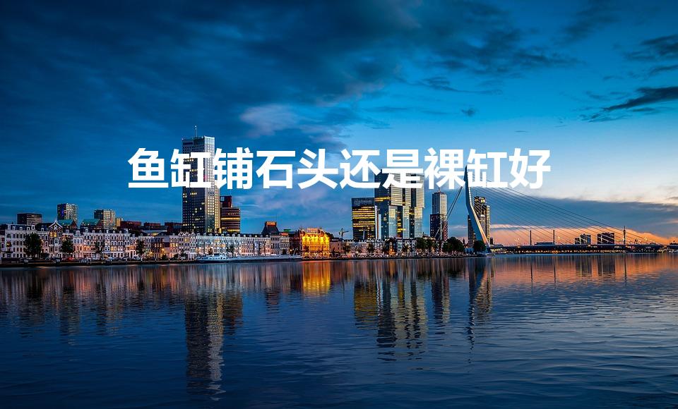 鱼缸铺石头还是裸缸好（鱼缸底铺石子好还是裸缸好）