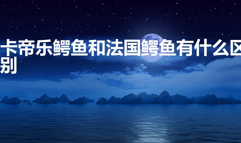 卡帝乐鳄鱼和法国鳄鱼有什么区别（3种鳄鱼牌子的图标分辨）