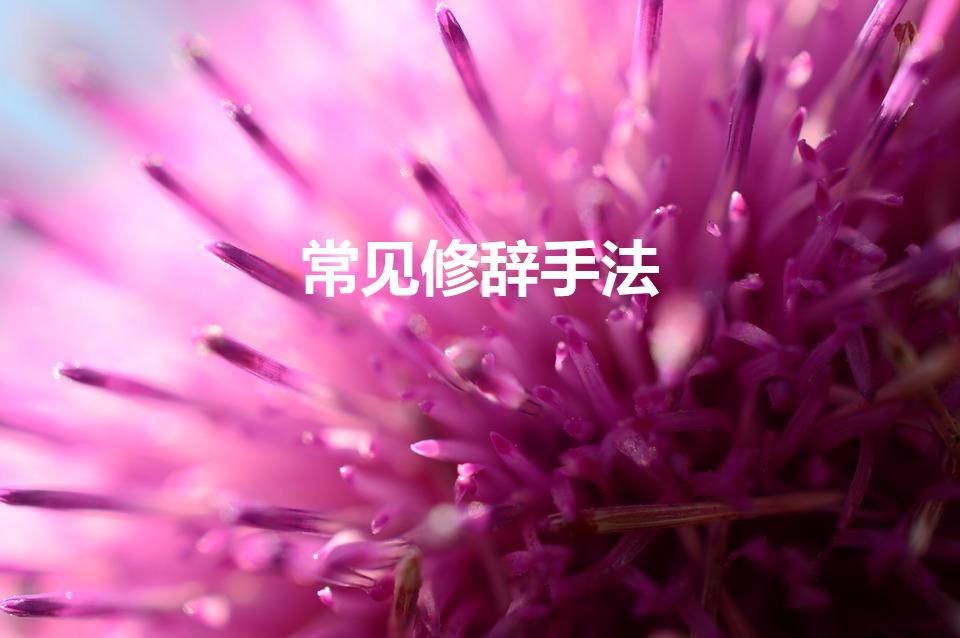 常见修辞手法（修辞手法有哪些）