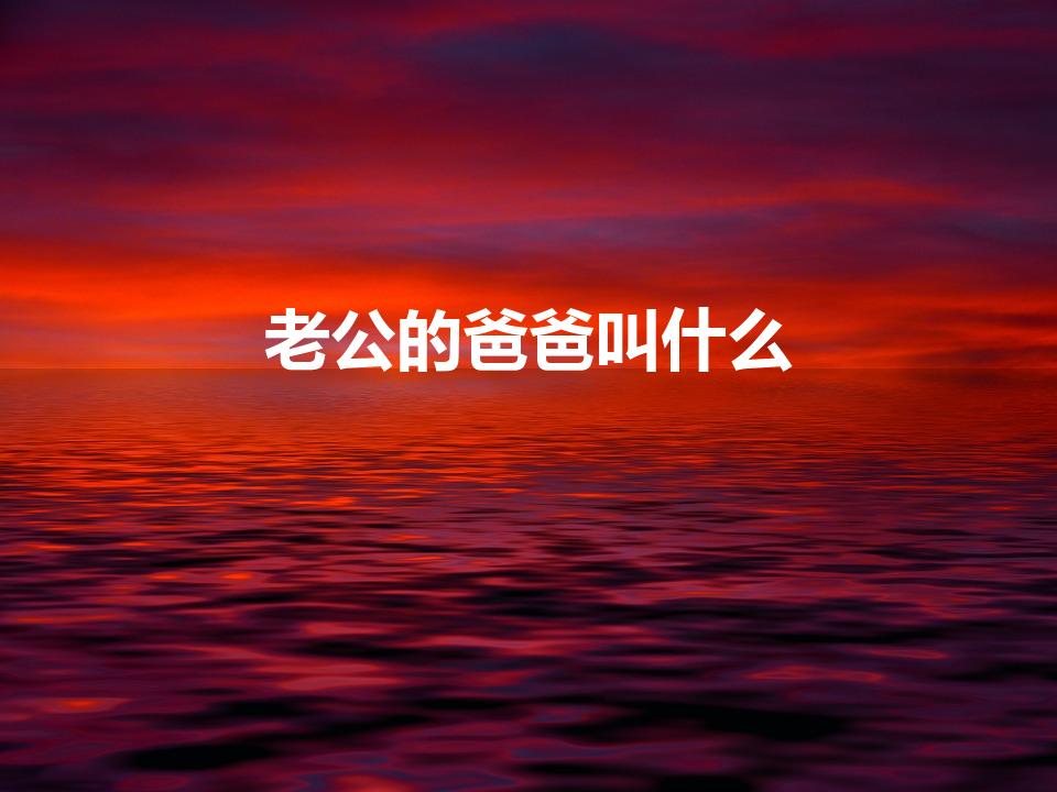 老公的爸爸叫什么（丈夫的爸爸尊称什么）