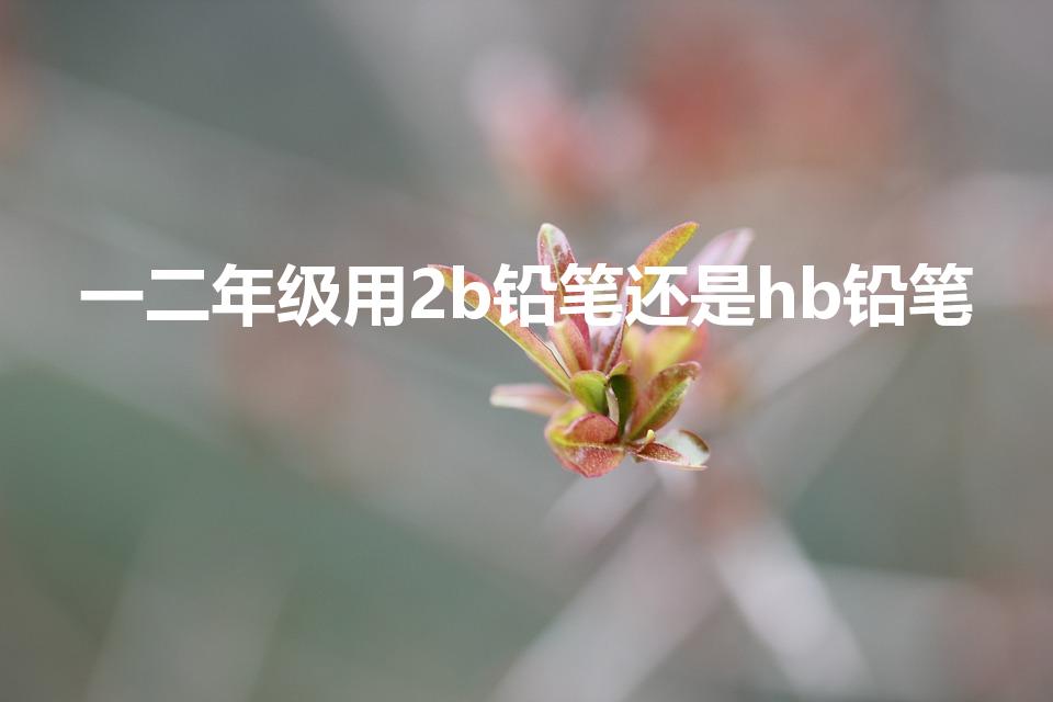 一二年级用2b铅笔还是hb铅笔