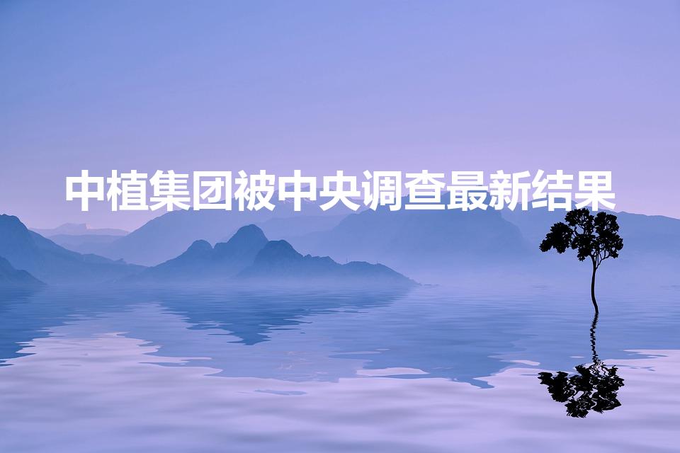 中植集团被中央调查最新结果（2022年中植集团现状）