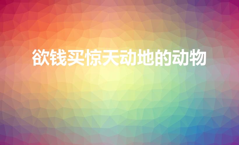 欲钱买惊天动地的动物（欲钱买惊天动的动物代表什么数）