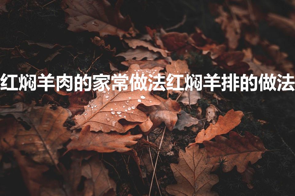 红焖羊肉的家常做法红焖羊排的做法（红焖羊肉怎么做）