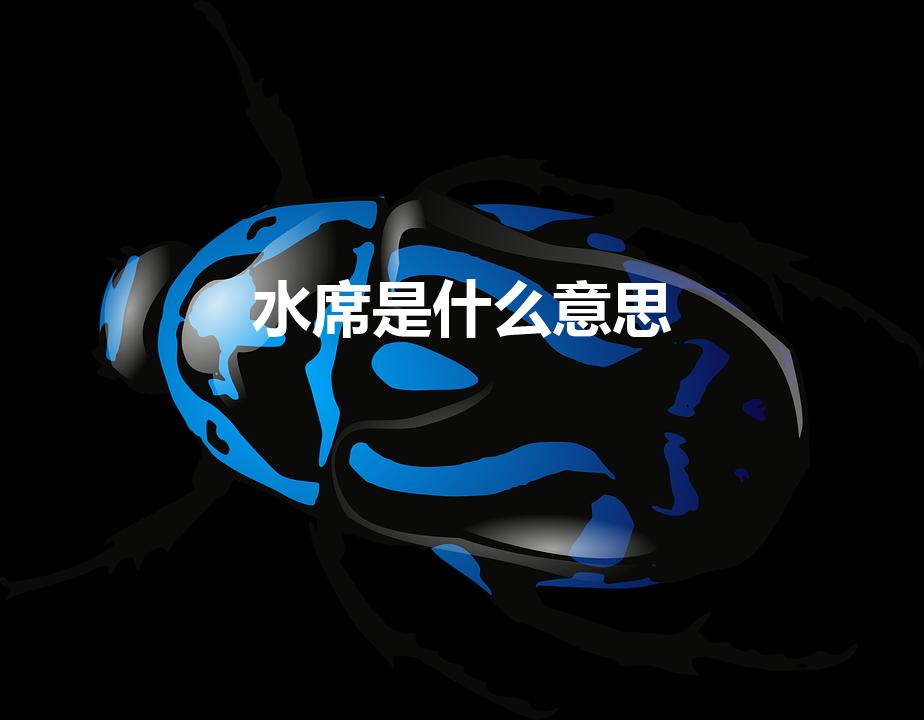 水席是什么意思（什么是水宴）