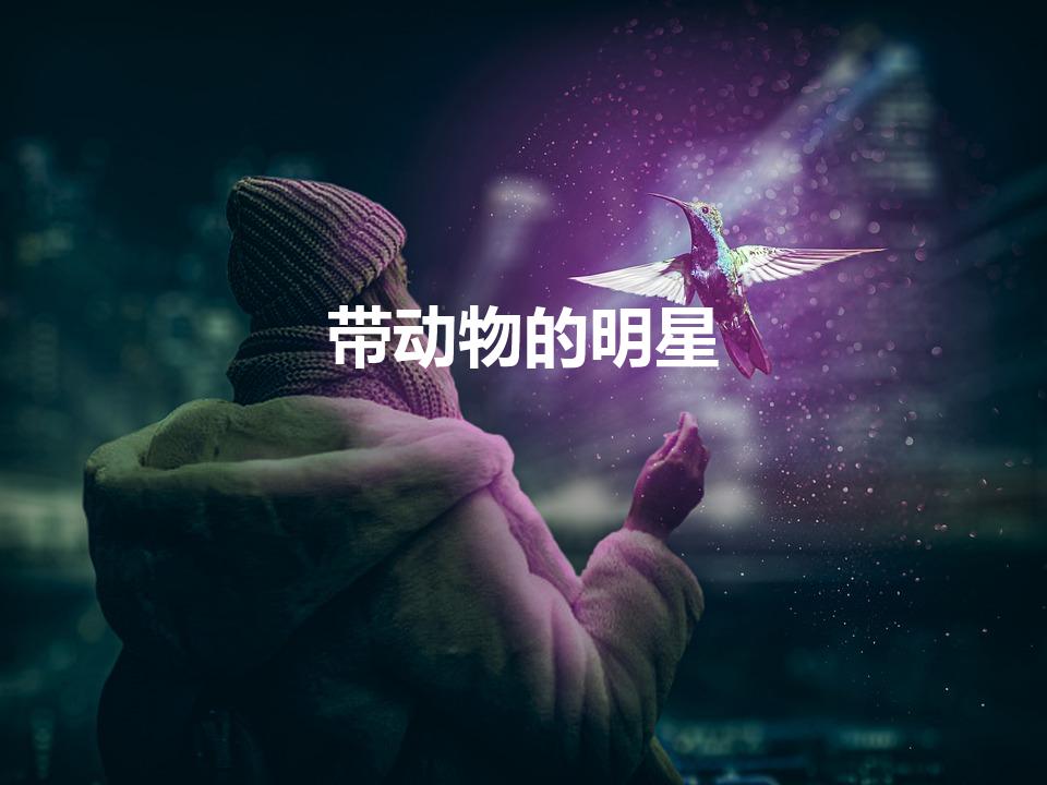 带动物的明星