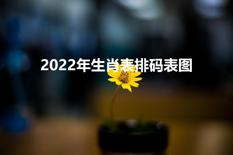 2022年生肖表排码表图