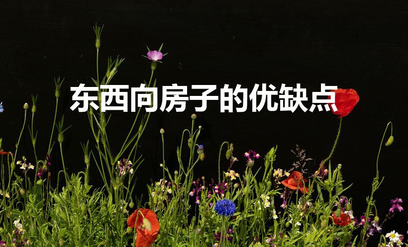 东西向房子的优缺点（东西朝向的房子有哪些优缺点）