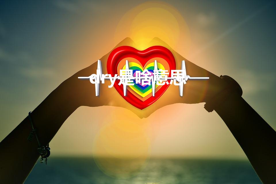 dry是啥意思（DRY是什么意思啊）