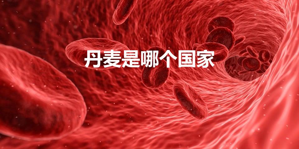 丹麦是哪个国家（丹麦属于哪个洲哪个国家）