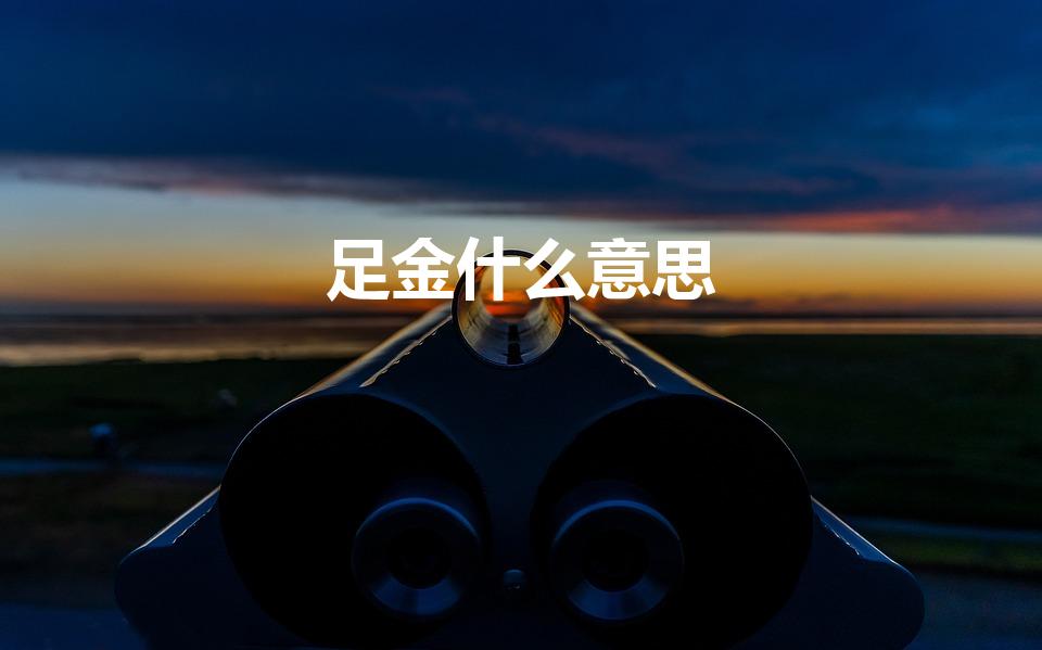 足金什么意思（足金什么意思 足金含义）