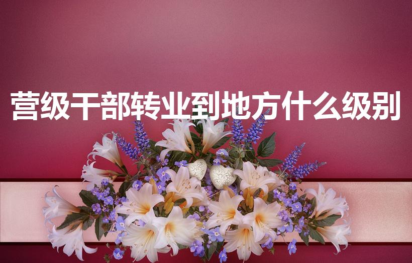 营级干部转业到地方什么级别（正营职转业到地方算什么职位）