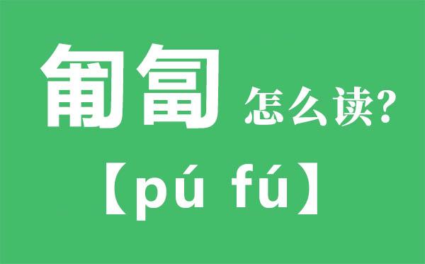 教训的拼音（学习汉语拼音的重要性及常见错误）