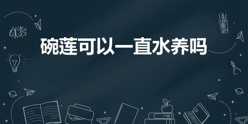 碗莲可以一直水养吗（碗莲可以水培吗）