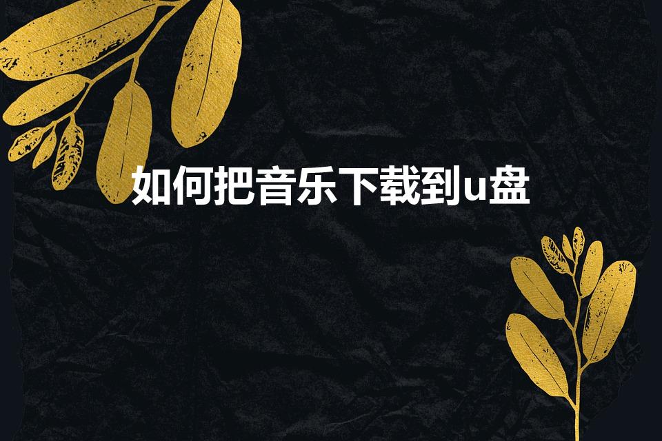 如何把音乐下载到u盘（如何把音乐下载到u盘里）