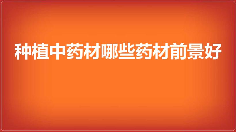 种植中药材哪些药材前景好（种植什么药材前景好）