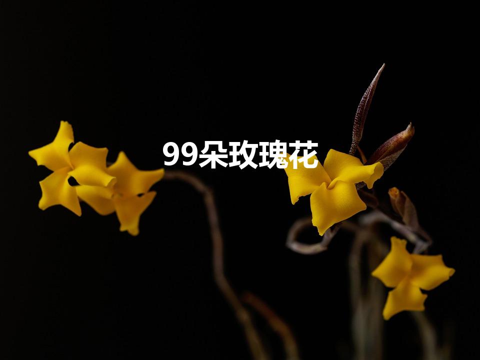 99朵玫瑰花（99朵玫瑰花代表什么意思）