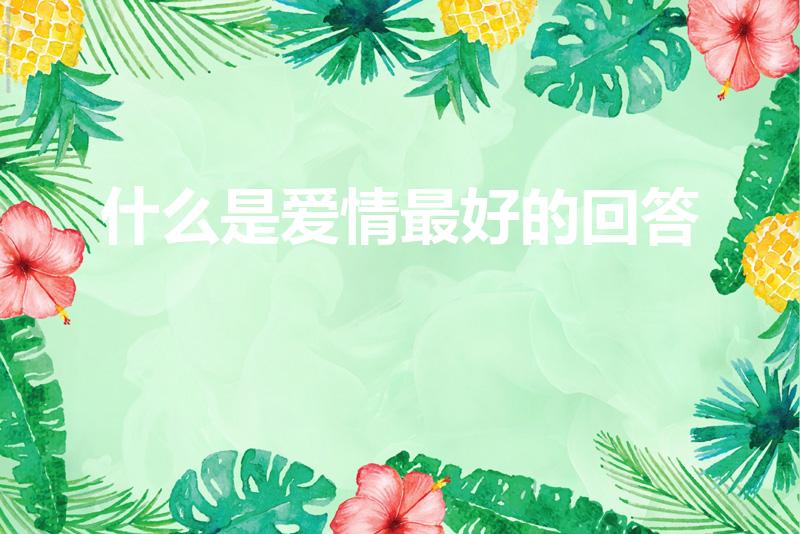 什么是爱情最好的回答（什么是爱情精辟回答）