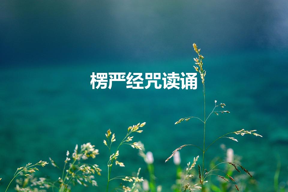 楞严经咒读诵（请问读诵楞严咒的步骤是怎样的）