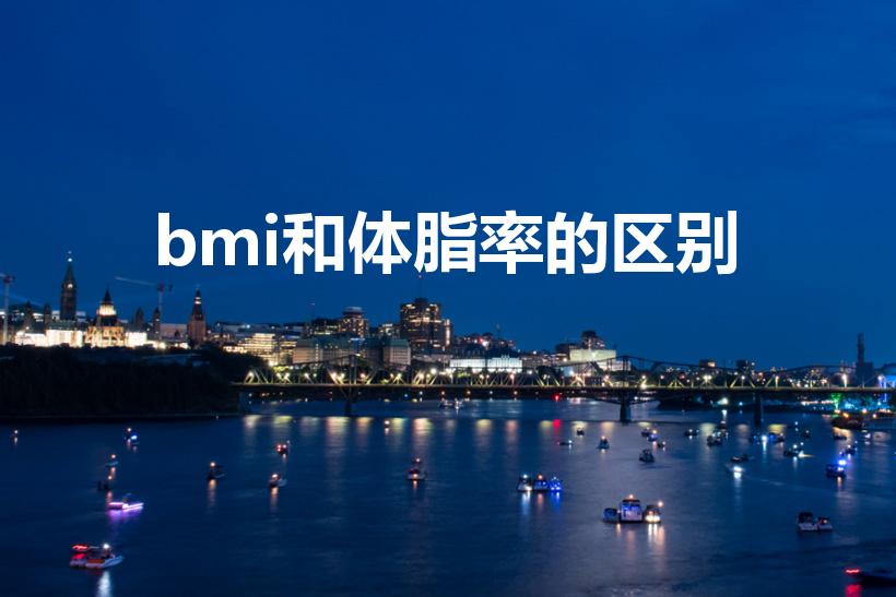 bmi和体脂率的区别（体脂肪和体脂肪率(BMI)一样么）