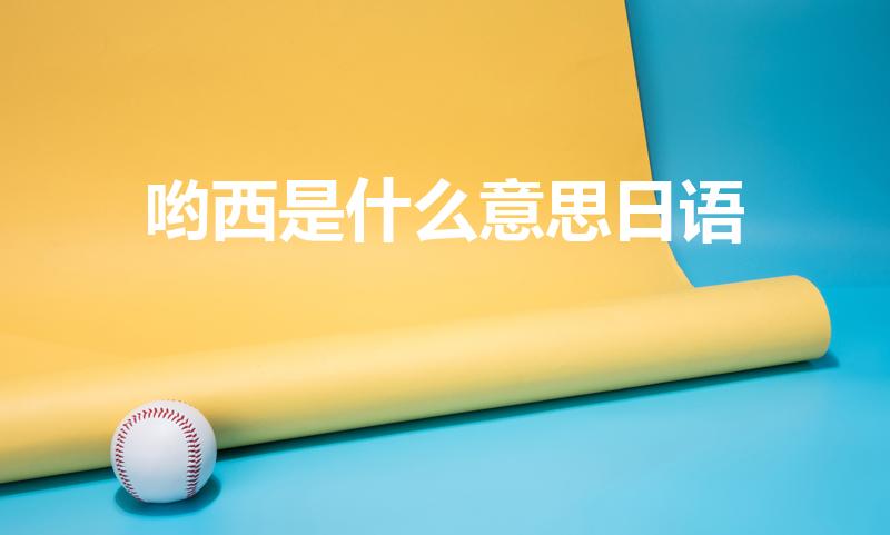 哟西是什么意思日语（日语哟西什么意思）