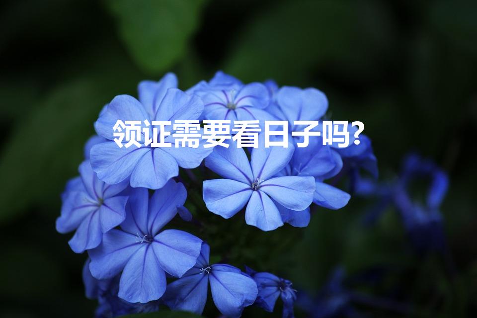 领证需要看日子吗?（领结婚证要看日子吗）