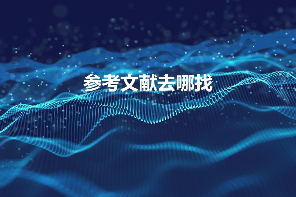 参考文献去哪找（毕业论文的参考文献在哪里找）