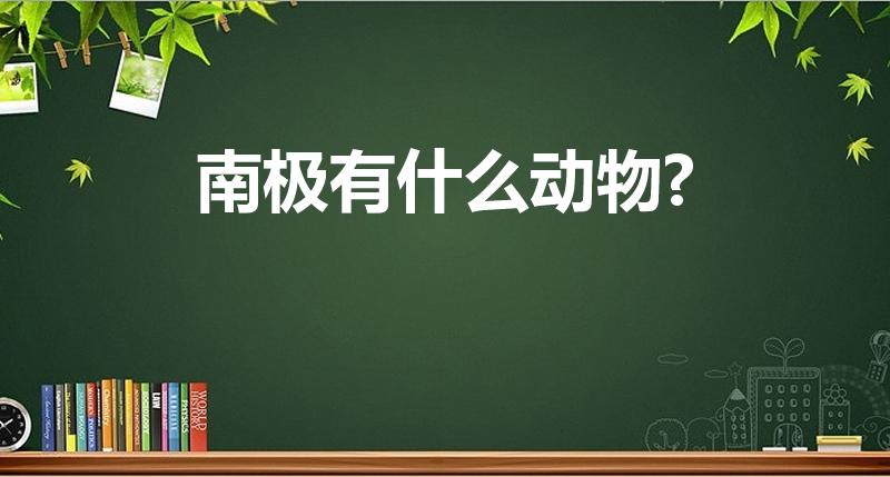 南极有什么动物?（南极有什么动物）