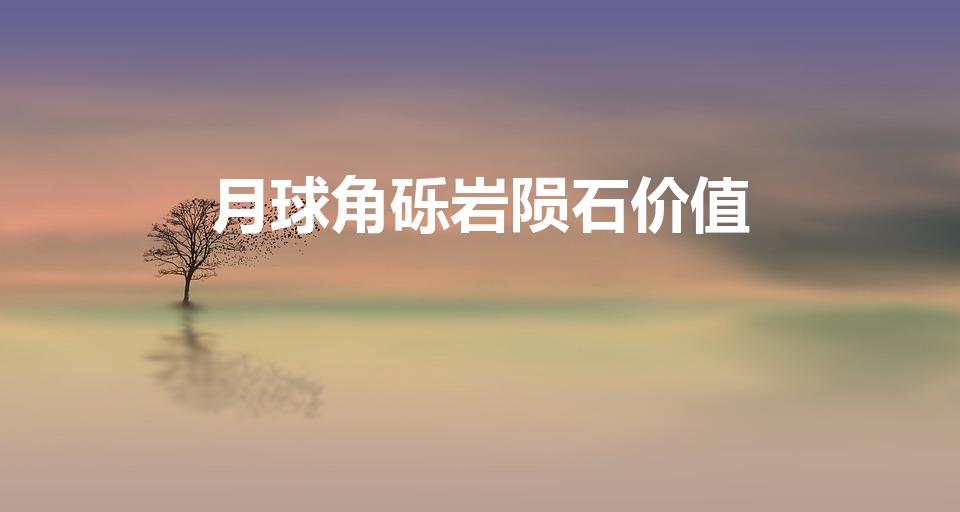 月球角砾岩陨石价值（角砾岩月球陨石）