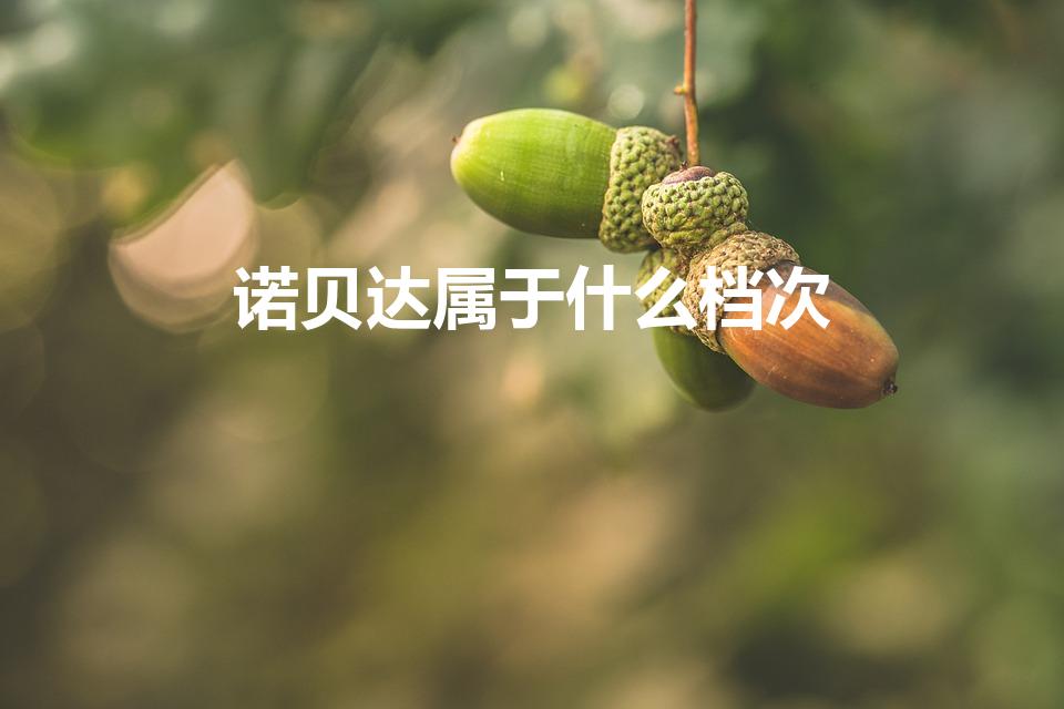 诺贝达属于什么档次（诺贝达和爱步哪一个档次高）