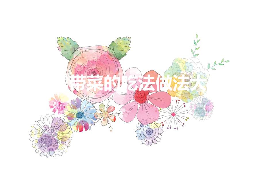 裙带菜的吃法做法大全（裙带菜的吃法）