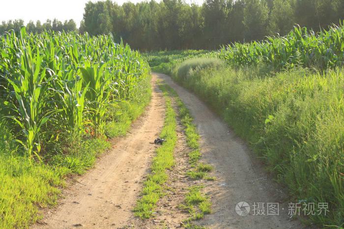 小径的拼音（小径的拼音及美丽、文化与旅游价值）