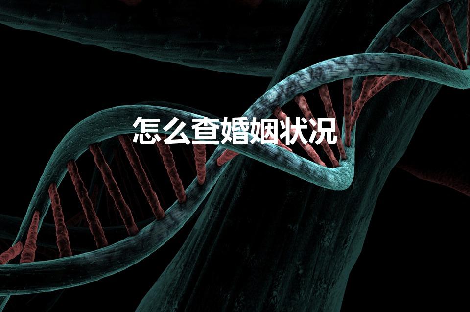 怎么查婚姻状况（婚姻状况在哪里可以查询）