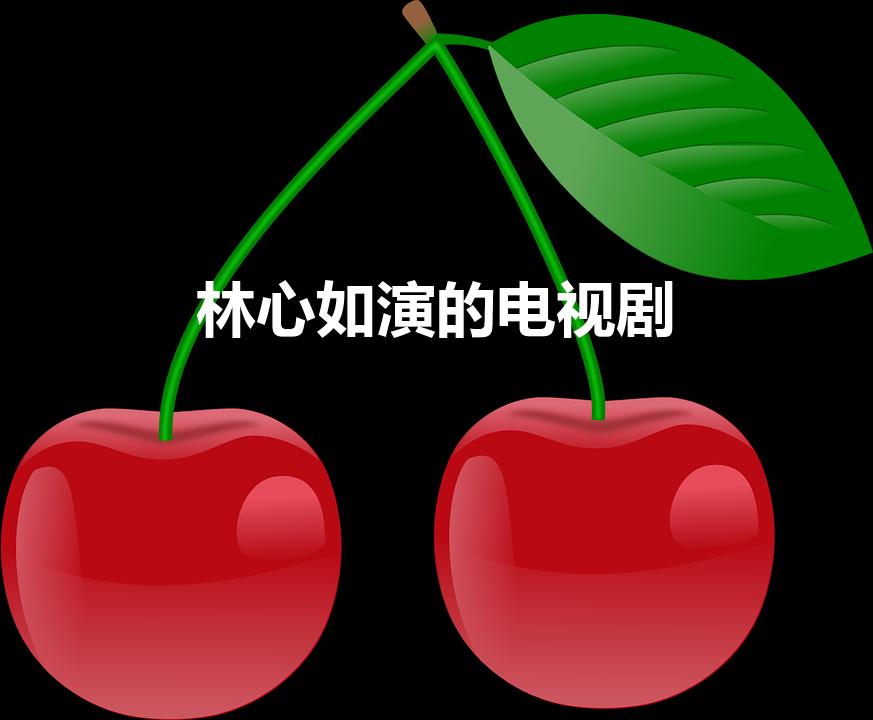 林心如演的电视剧（林心如有什么影视作品）
