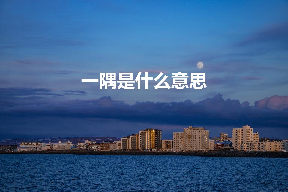 一隅是什么意思（请问一隅是什么意思）