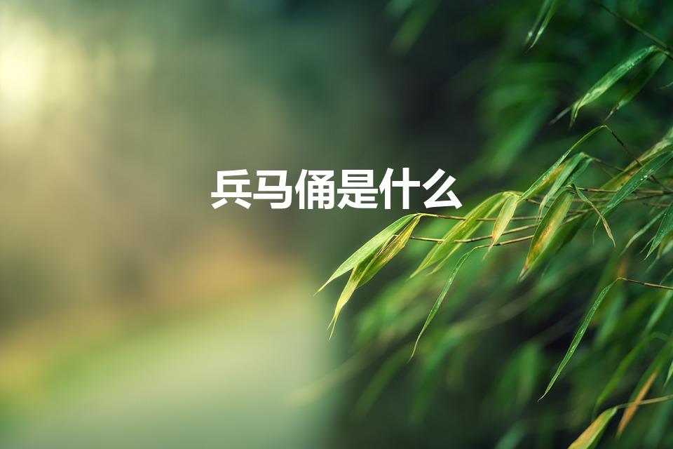 兵马俑是什么（兵马俑是什么东东）