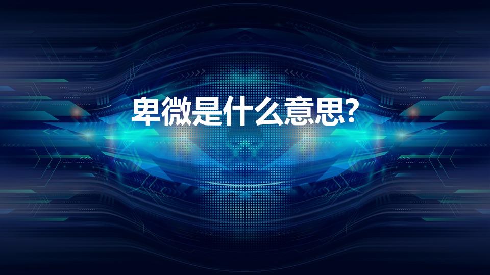 卑微是什么意思?（卑微是什么意思）