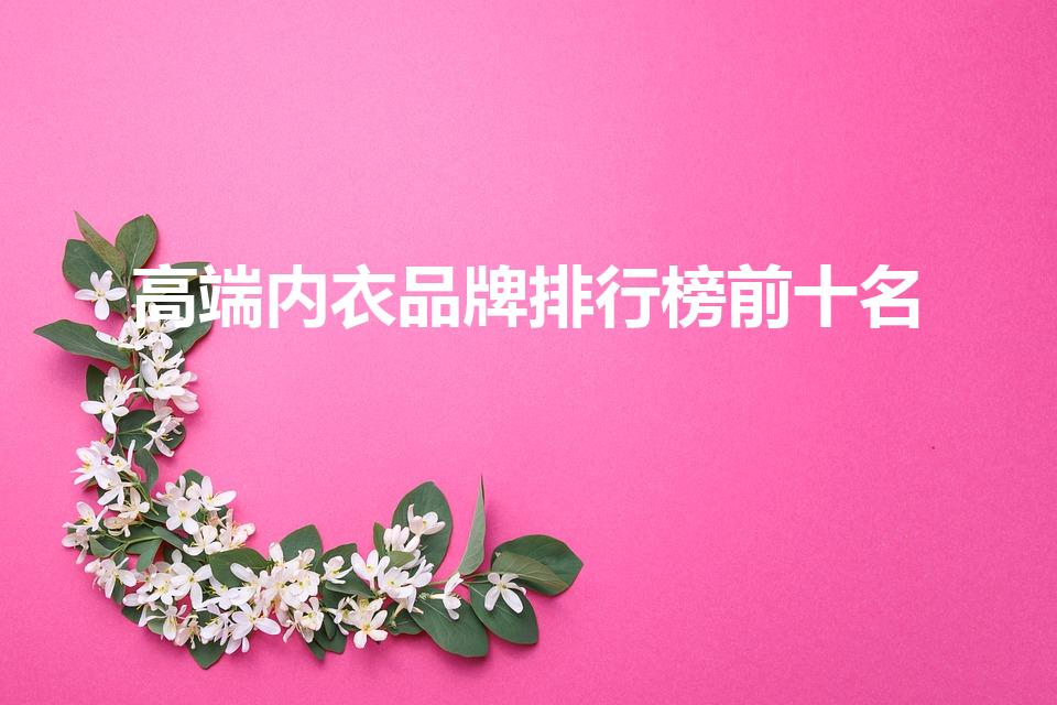 高端内衣品牌排行榜前十名（内裤品牌排行榜前十名女）