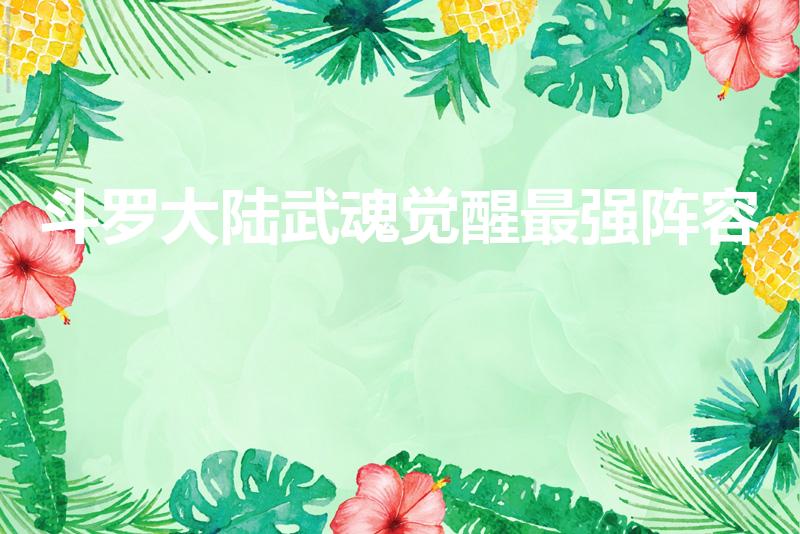 斗罗大陆武魂觉醒最强阵容（斗罗大陆武魂觉醒t0阵容）