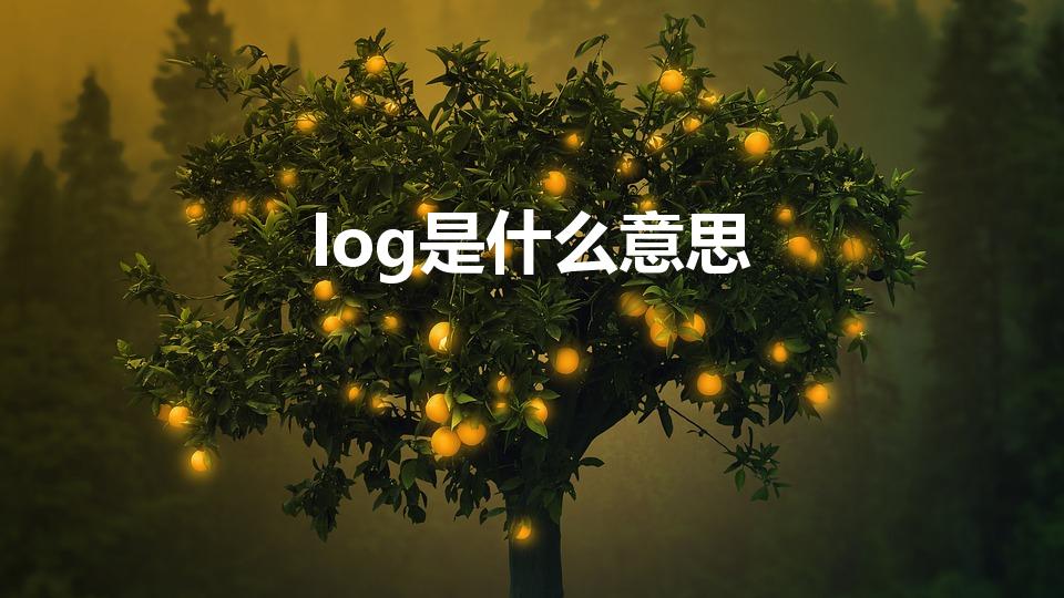 log是什么意思（log是什么意思啊）