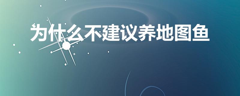 为什么不建议养地图鱼（为什么地图鱼越大越不值钱）