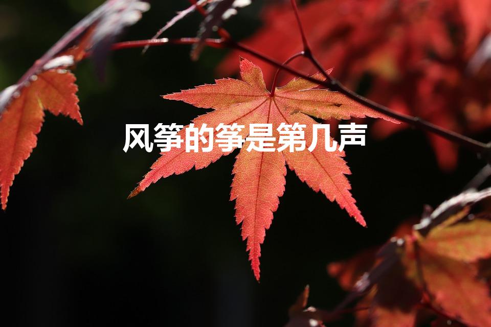 风筝的筝是第几声（筝怎么读）