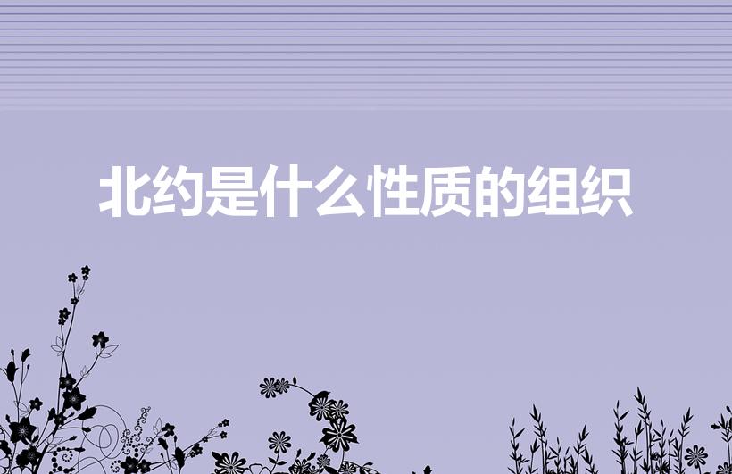 北约是什么性质的组织（北大西洋公约组织的性质是什么）