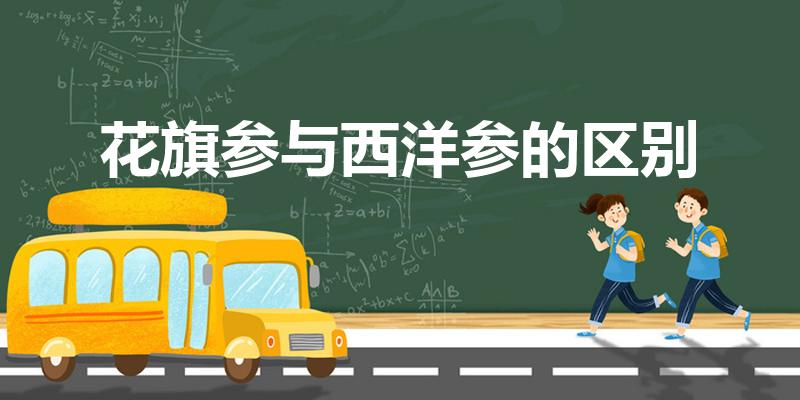 花旗参与西洋参的区别（西洋参和花旗参有什么区别）