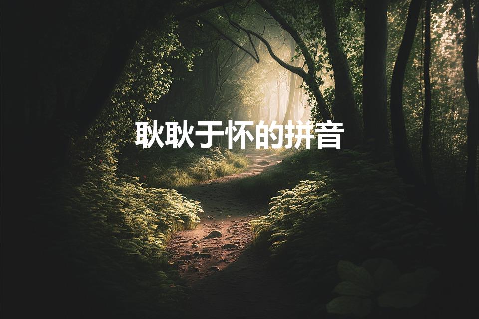 耿耿于怀的拼音（耿耿于怀的解释）