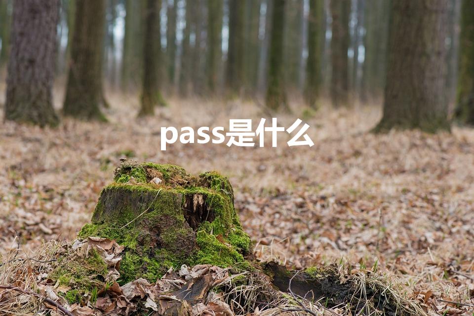 pass是什么（pass是什么意思）