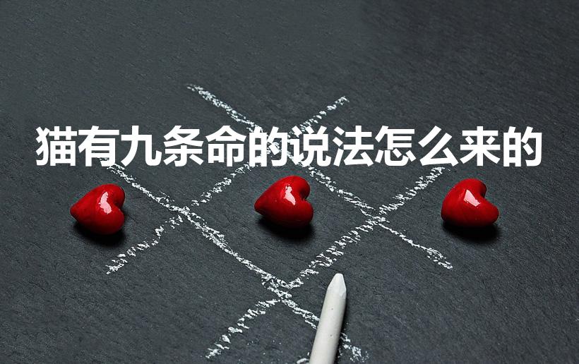 猫有九条命的说法怎么来的（猫有九条命的传说怎么来的）
