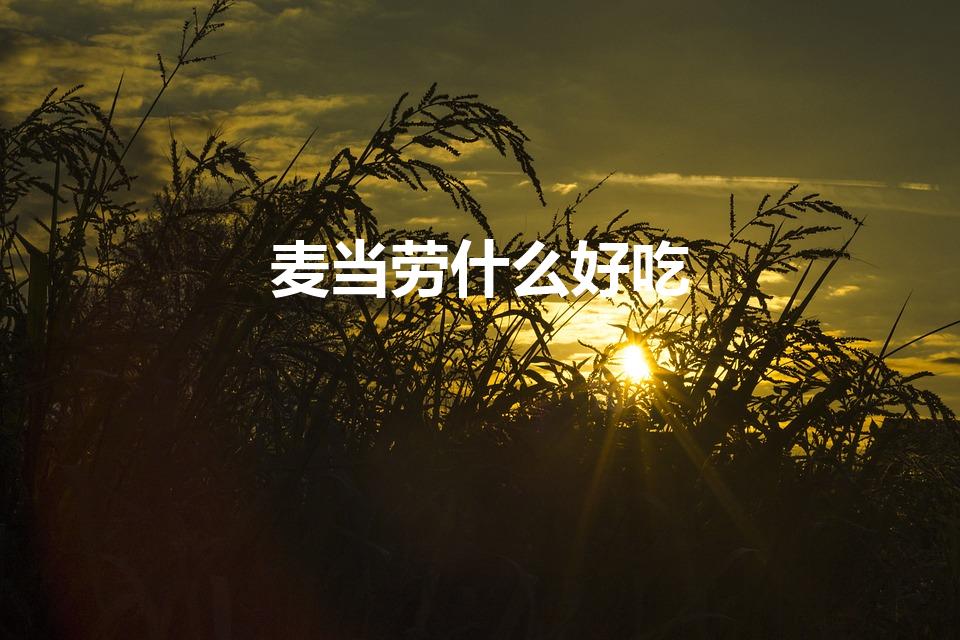 麦当劳什么好吃（麦当劳有哪些招牌美食）