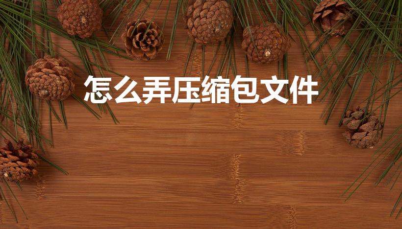 怎么弄压缩包文件（怎么把文件弄成压缩包）